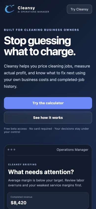 Cleansy homepage on mobile